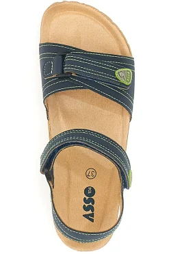 64135 BLUE-ASSO Best
