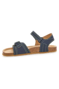 64135 BLUE-ASSO Best