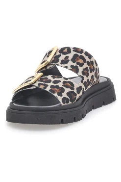 Ciabatte Leopardate Con Doppia Fascia Fibbia Dorata 19202-PITTARELLO FOCUS Best