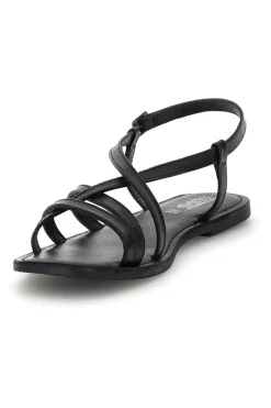 TIM9936 SCHWARZ-PITTARELLO SUN Sale
