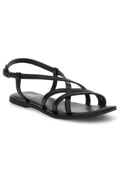 TIM9936 SCHWARZ-PITTARELLO SUN Sale