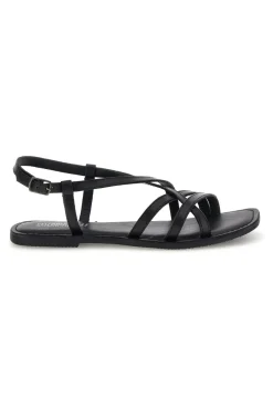 TIM9936 SCHWARZ-PITTARELLO SUN Sale