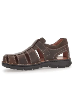 Sandalo Fisherman Marrone 7402-PITTARELLO ECO Sale