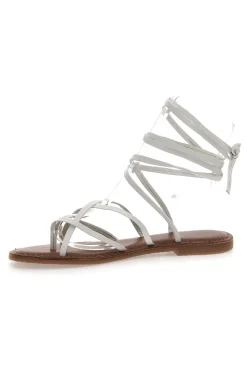 -PITTARELLO SUN New