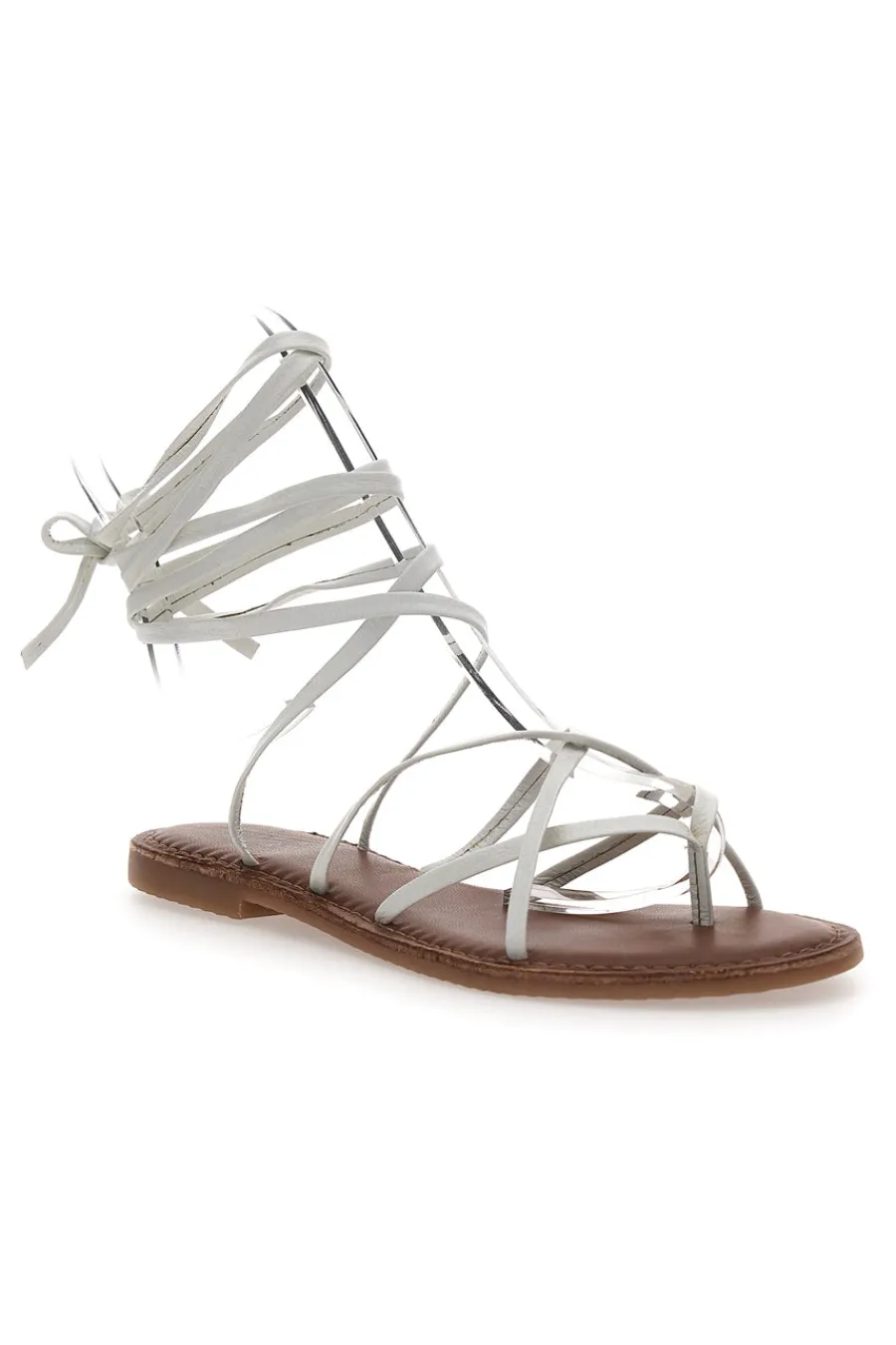 -PITTARELLO SUN New