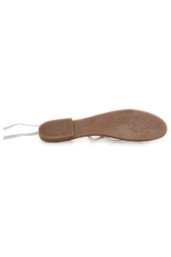 -PITTARELLO SUN New