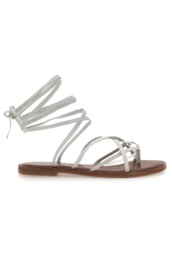 -PITTARELLO SUN New