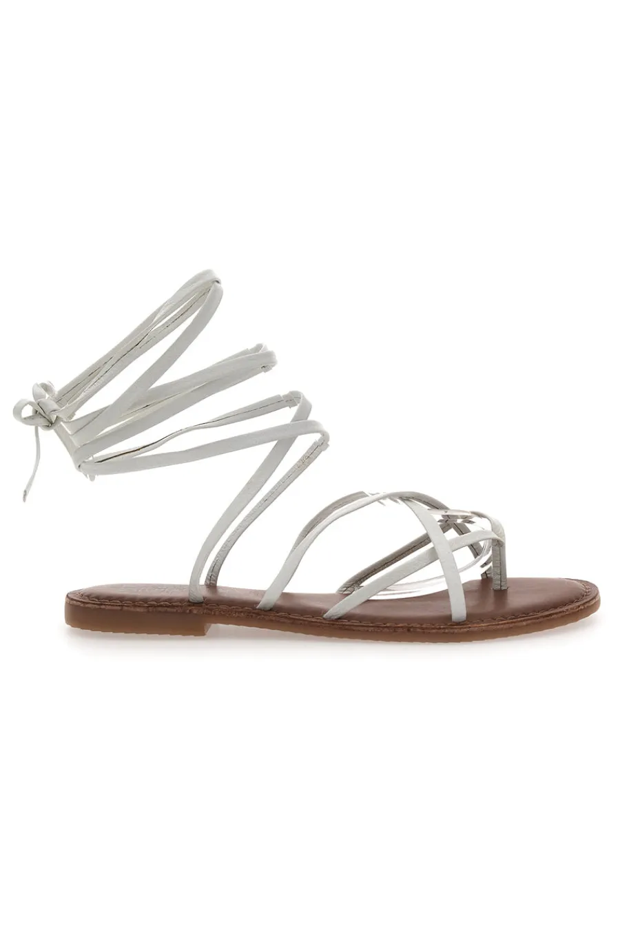 -PITTARELLO SUN New